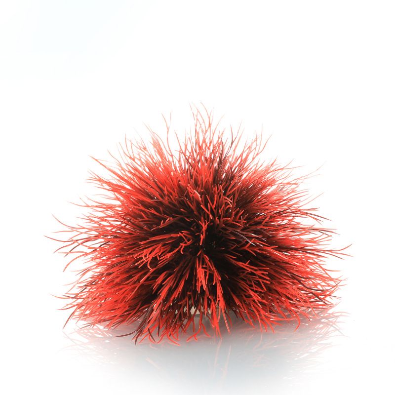 Black and Red
